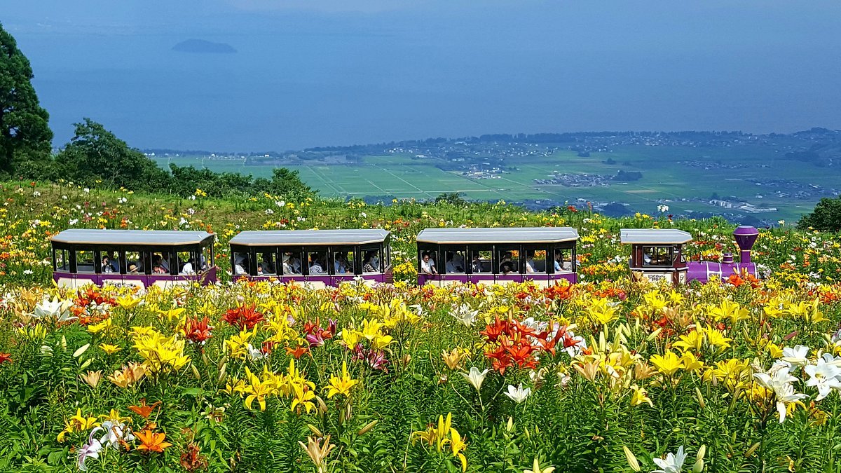 🏞️ 높은 섬 공원 (타카시마 코엔) 이미지 6